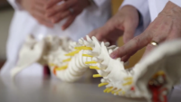photo of spine